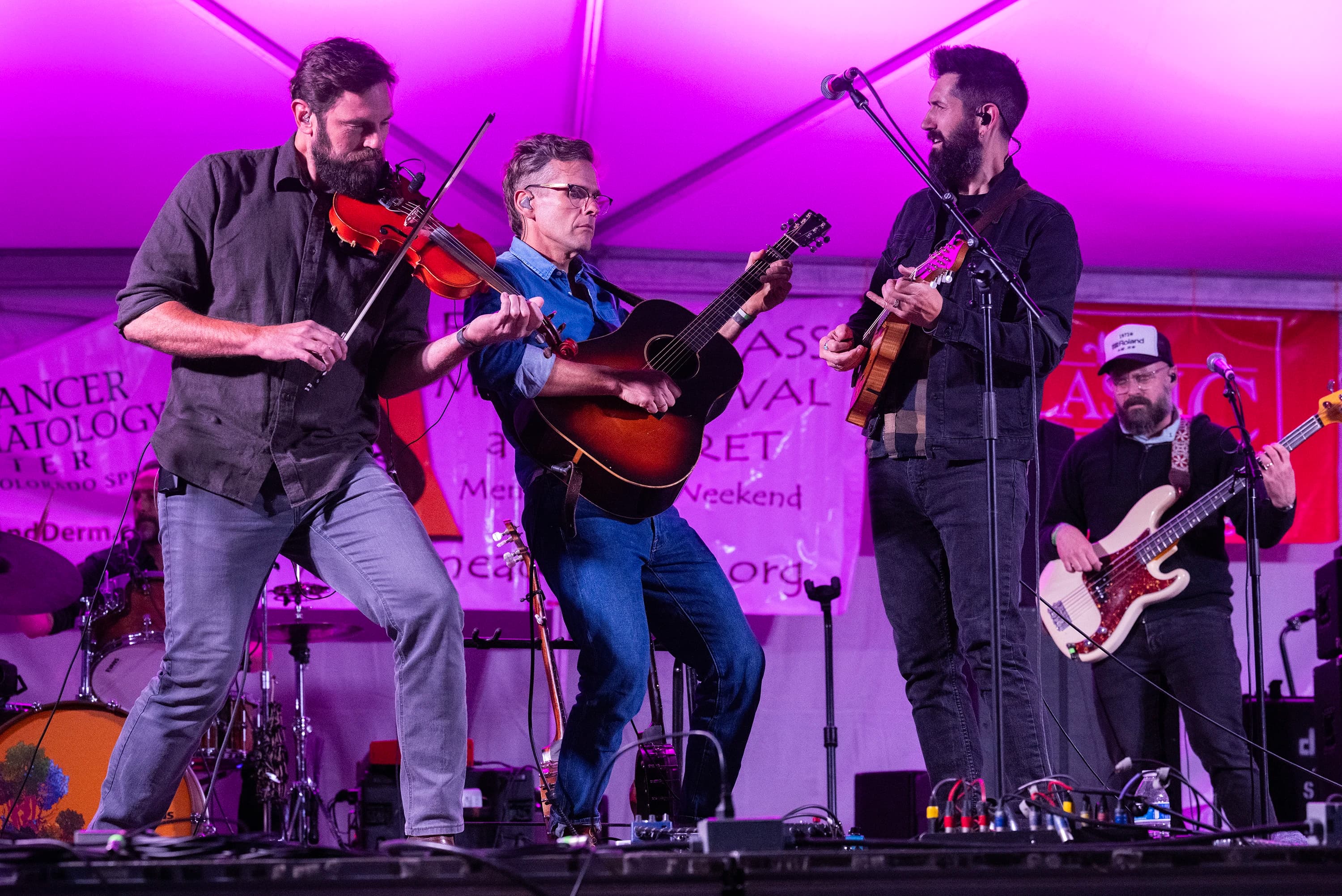 MeadowGrass Festival