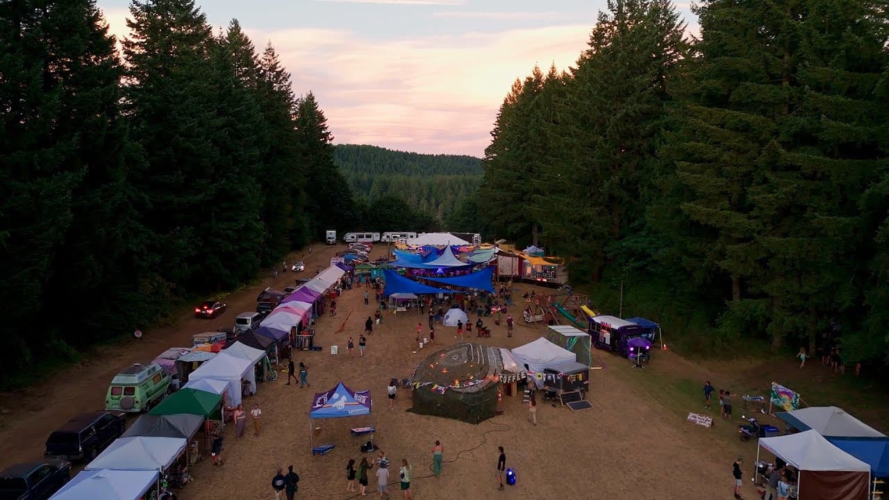 Shady Pines Festival
