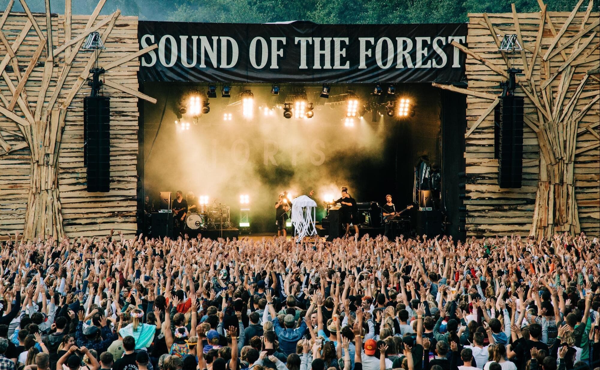 Sound Of The Forest