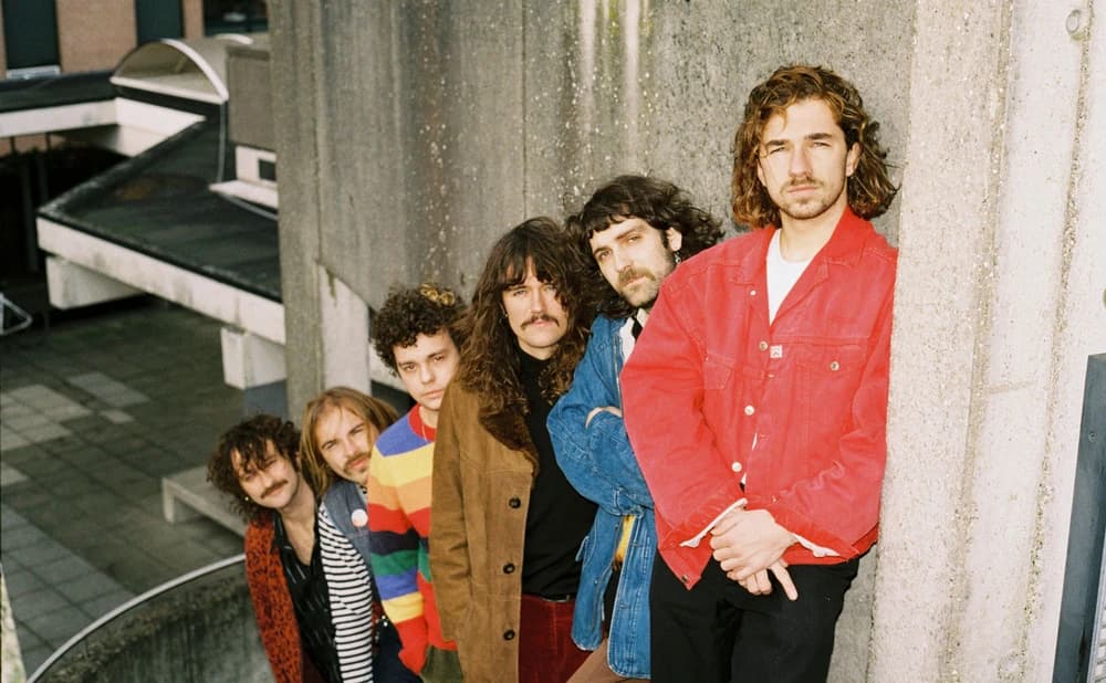 Mojo & The Kitchen Brothers