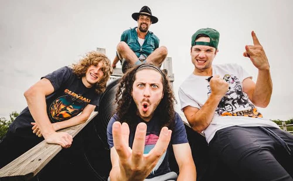 Pigeons Playing Ping Pong